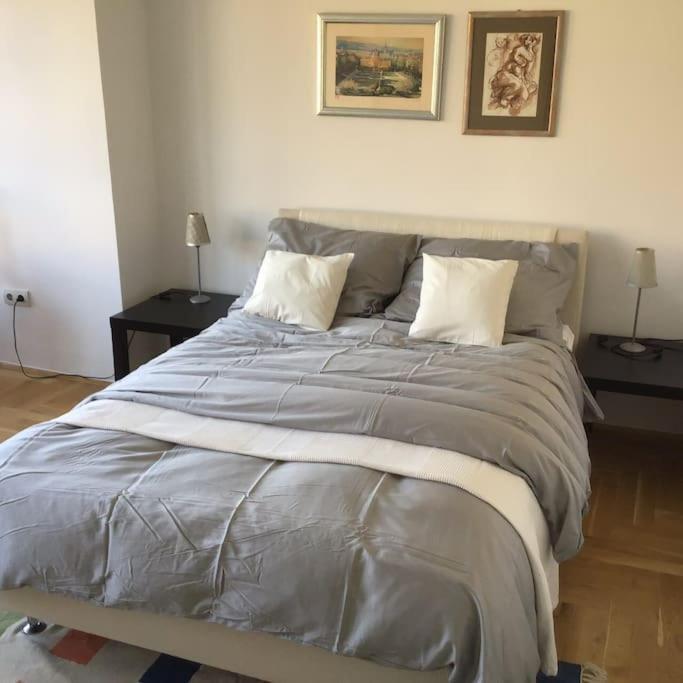 Spacious 3Br/2Bt Apartment With A/C In City Center Zagreb Exterior foto